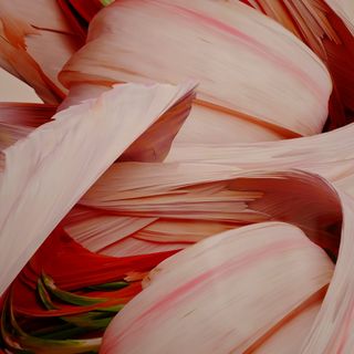 an imaginery flower