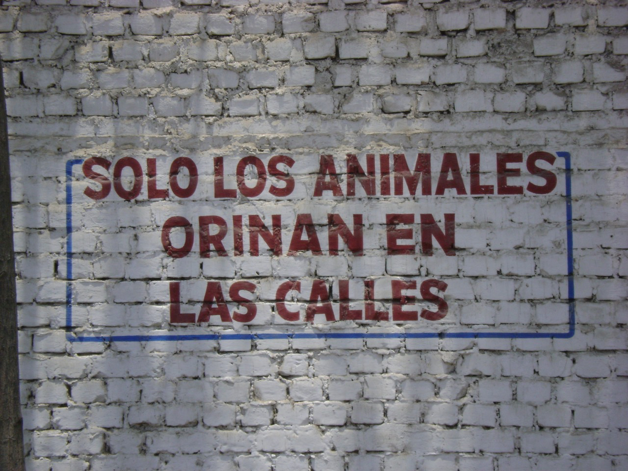 soloLosAnimales